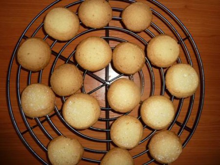 Koekjes (lekkere roombotermoppen)